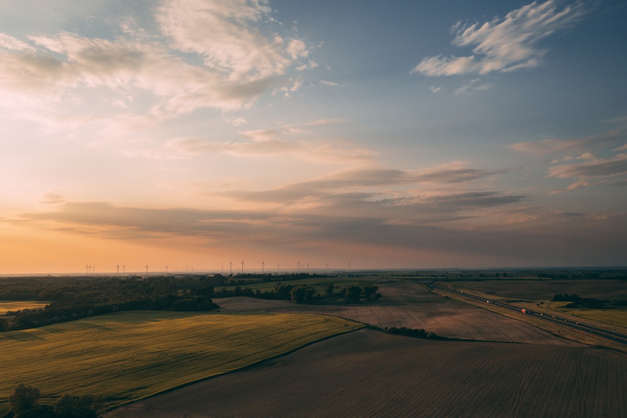 découvrez les enjeux de la durabilité et comment adopter des pratiques respectueuses de l'environnement pour un avenir plus vert. explorez des conseils, des initiatives et des solutions pour vivre de manière durable.