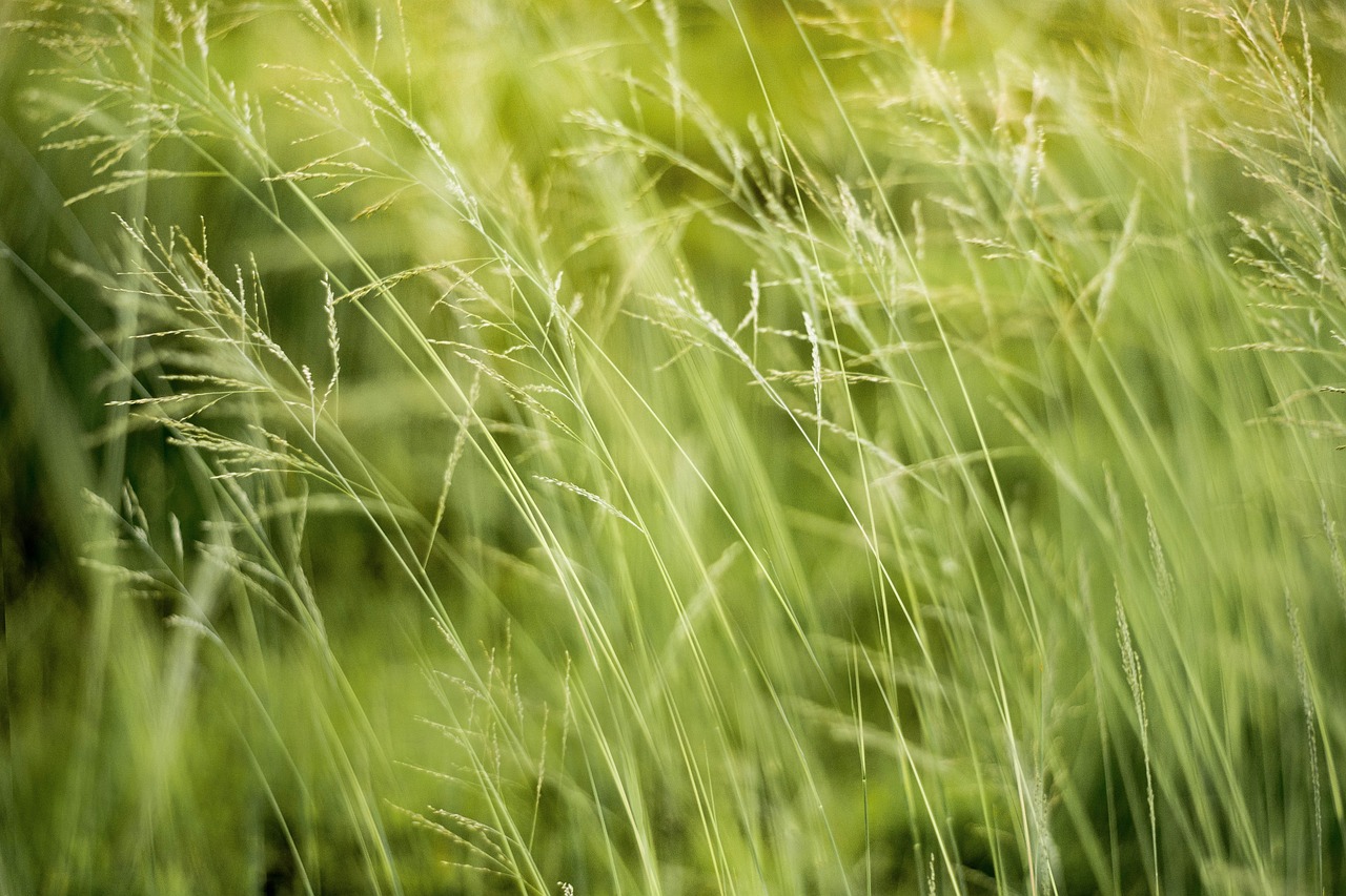 découvrez l'impact environnemental de nos actions quotidiennes et apprenez comment réduire votre empreinte écologique. engagez-vous pour un monde plus durable.