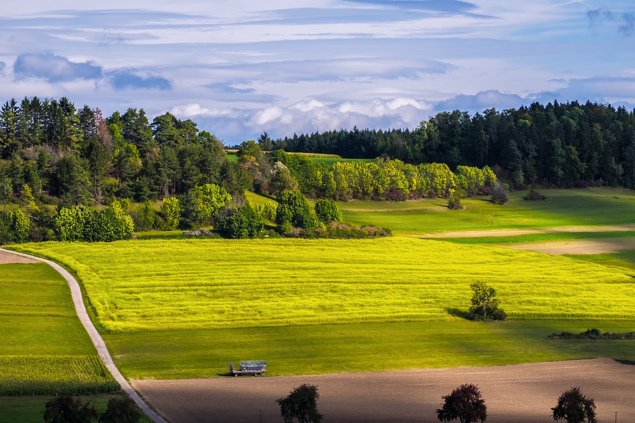 découvrez l'écologie, science essentielle qui étudie les interactions entre les organismes et leur environnement. explorez des concepts clés tels que la biodiversité, les écosystèmes et l'impact de l'homme sur la planète. engagez-vous pour un avenir durable.