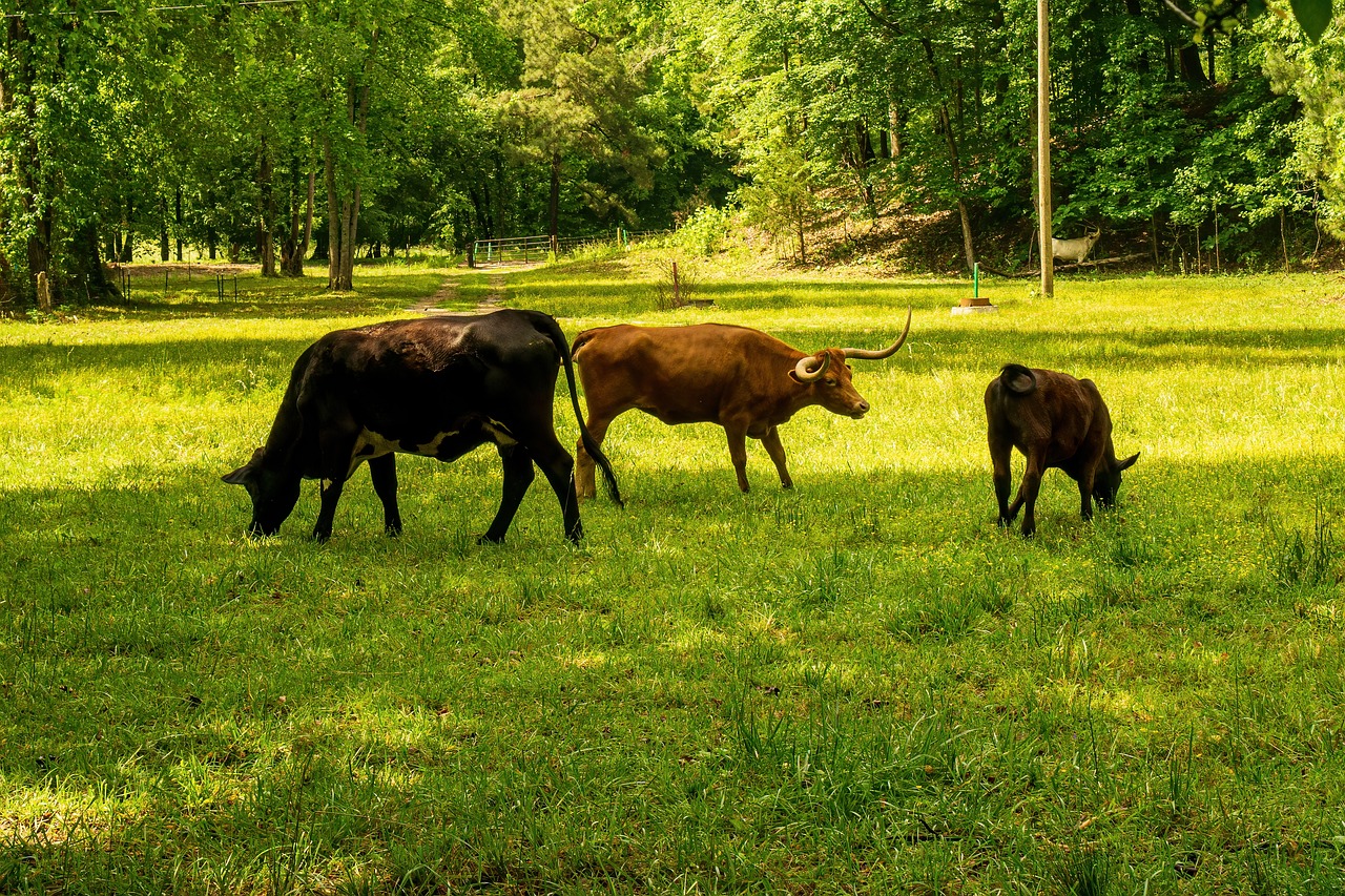 Bilan carbone : focus sur les secteurs les plus polluants