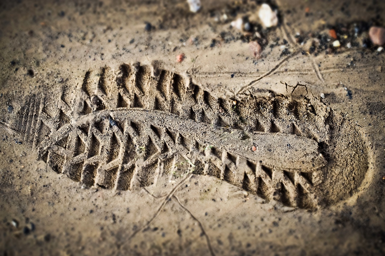 découvrez tout ce qu'il faut savoir sur l'empreinte carbone : définition, enjeux environnementaux, et moyens efficaces pour réduire votre impact sur la planète. adoptez un mode de vie plus durable dès aujourd'hui.