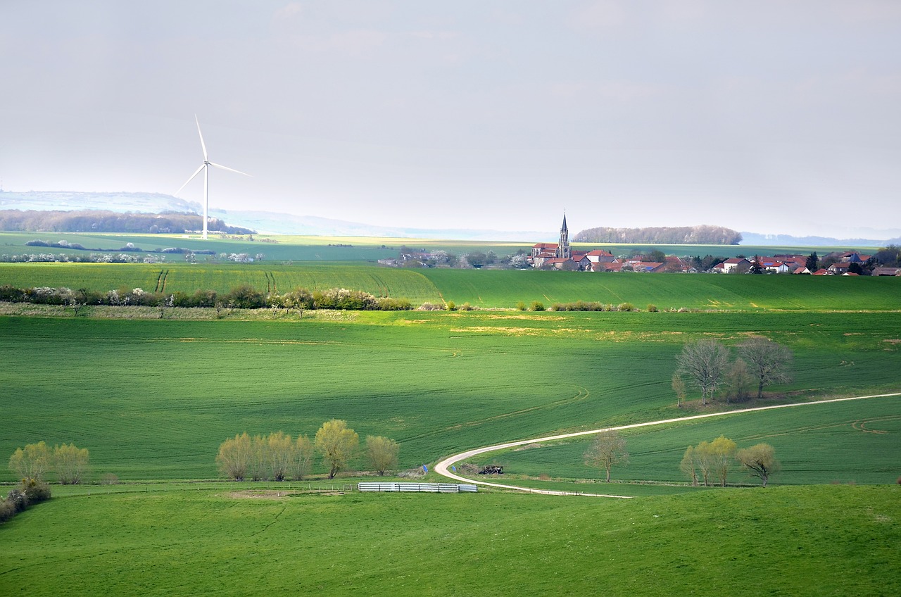 découvrez les enjeux du développement durable et explorez des solutions innovantes pour construire un avenir respectueux de l'environnement, équilibrant les besoins économiques, sociaux et écologiques.