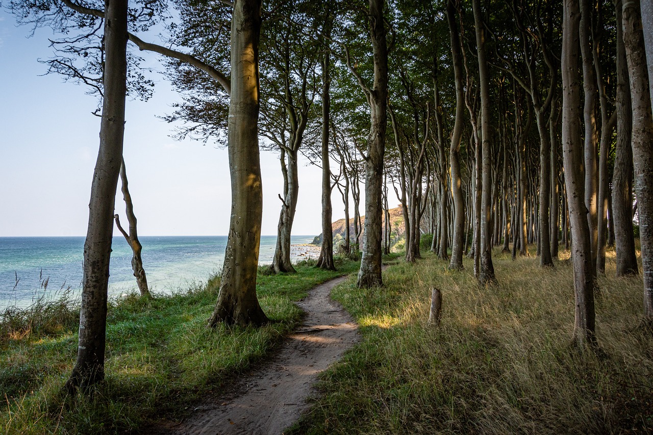 découvrez le monde du trail : des parcours enchanteurs, des défis exaltants et une aventure au cœur de la nature. que vous soyez débutant ou coureur expérimenté, laissez-vous inspirer par nos conseils, itinéraires et histoires de passionnés pour vivre pleinement votre passion du running en plein air.