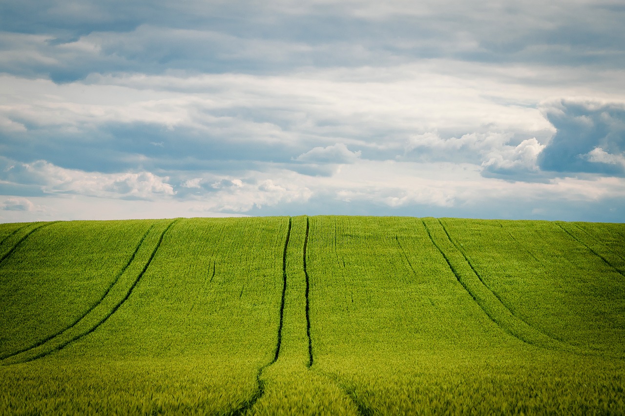 découvrez l'agriculture urbaine, une solution innovative pour cultiver des aliments frais dans nos villes. apprenez comment ces pratiques durables favorisent la biodiversité, améliorent la qualité de vie et soutiennent les communautés urbaines.