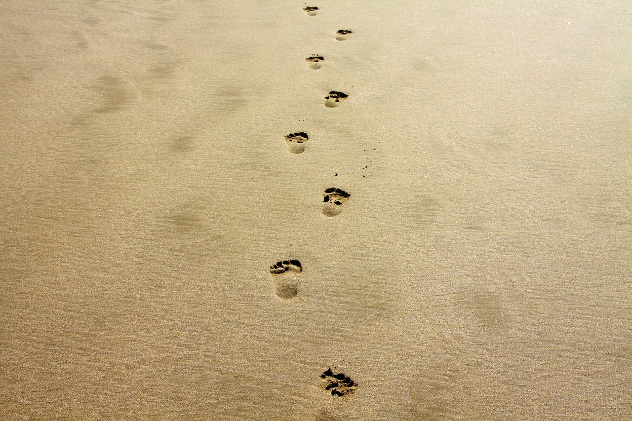 découvrez ce qu'est l'empreinte carbone et son impact sur notre planète. apprenez comment réduire votre empreinte écologique et contribuer à un avenir plus durable grâce à des gestes simples et des choix éclairés.