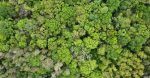 découvrez l'importance de la préservation des ressources, des stratégies durables et des pratiques innovantes pour protéger notre environnement et assurer un avenir équilibré.