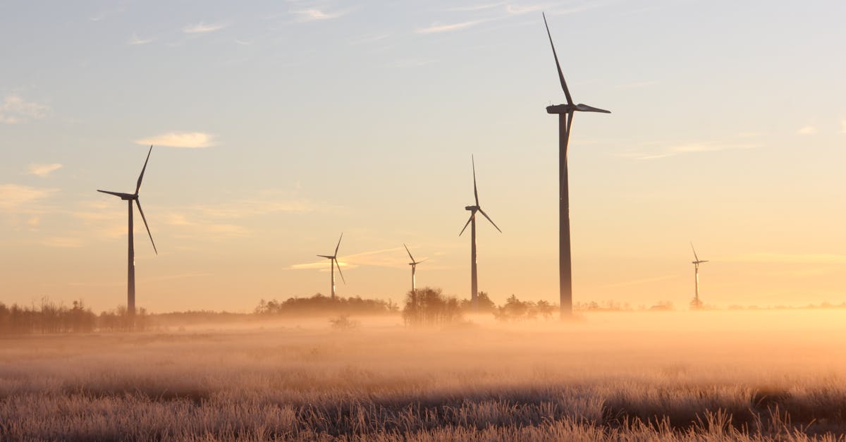 découvrez les principes de la durabilité et comment adopter un mode de vie respectueux de l'environnement. explorez des conseils pratiques pour réduire votre empreinte écologique et contribuer à un avenir meilleur.