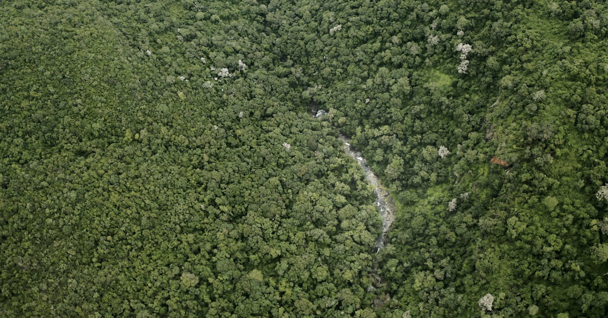 découvrez des solutions innovantes et éco-responsables pour un habitat durable. apprenez comment construire et aménager des espaces de vie respectueux de l'environnement, alliant confort et durabilité.