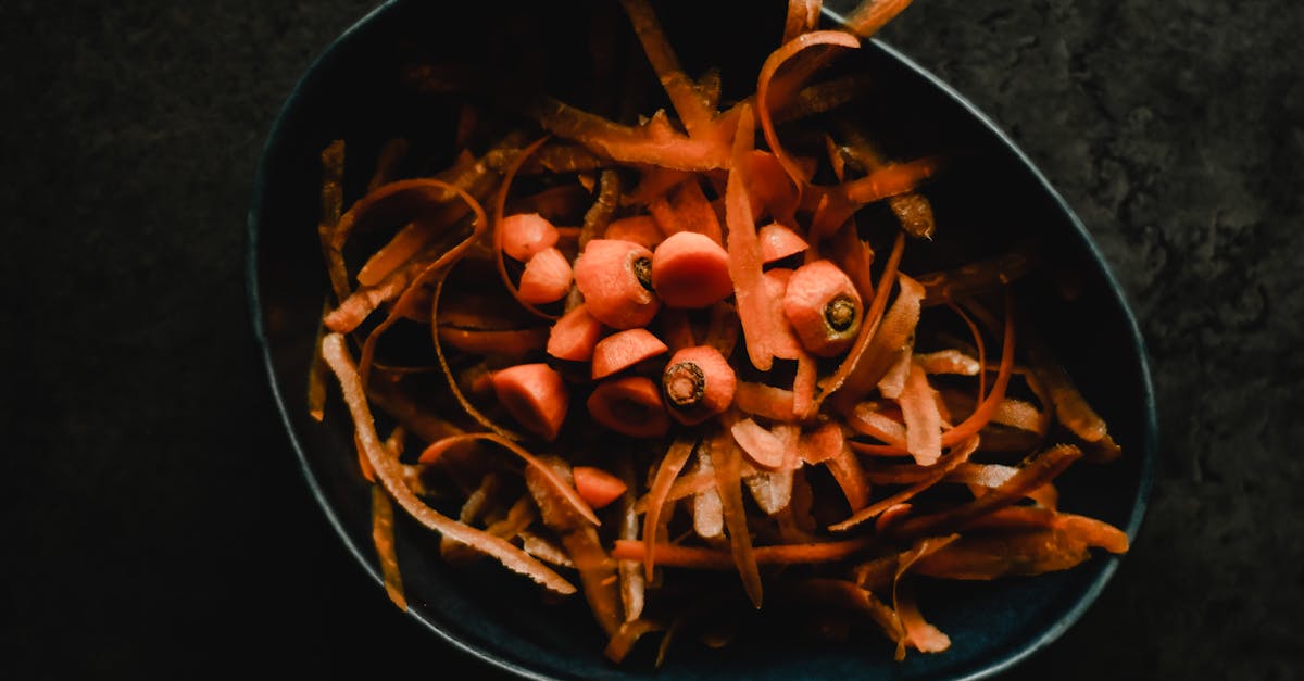 découvrez les systèmes alimentaires durables : leur importance pour l'environnement, la santé et l'économie, ainsi que des pratiques innovantes pour développer une agriculture responsable et une alimentation éthique.