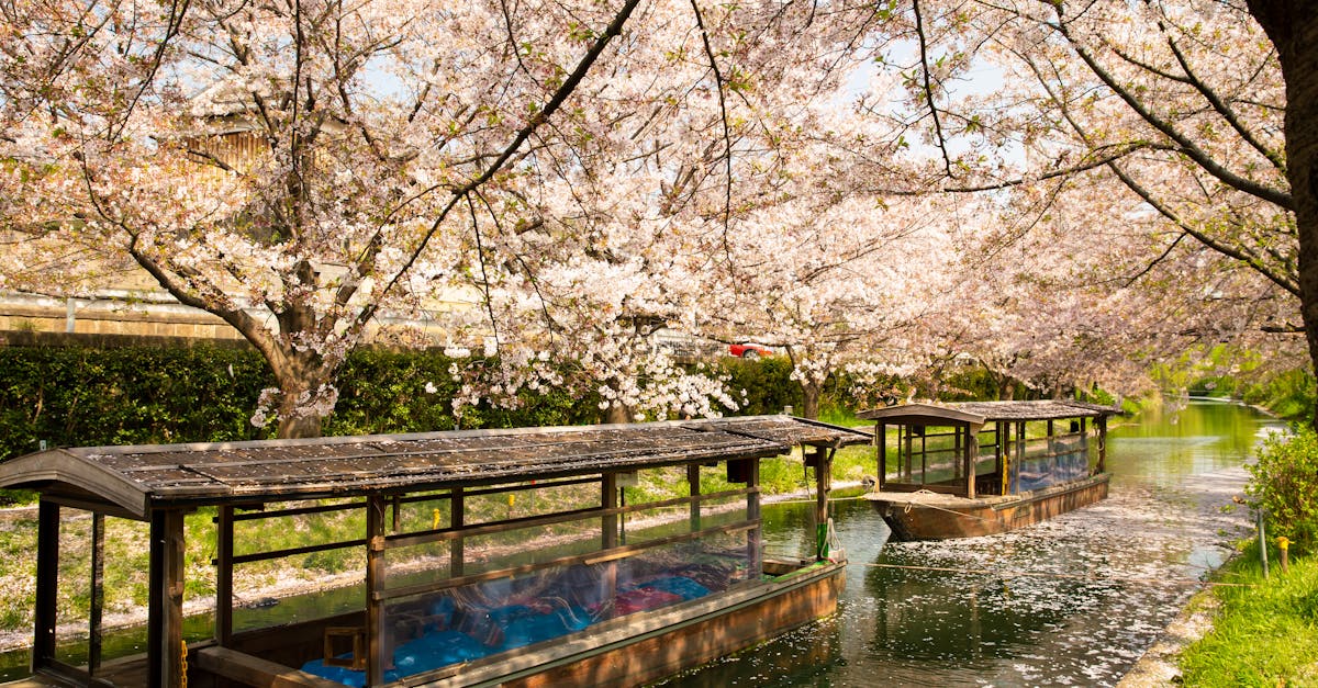 découvrez le protocole de kyoto, un accord international visant à lutter contre le changement climatique en réduisant les émissions de gaz à effet de serre. explorez son histoire, ses objectifs et son impact sur l'environnement et les politiques mondiales.