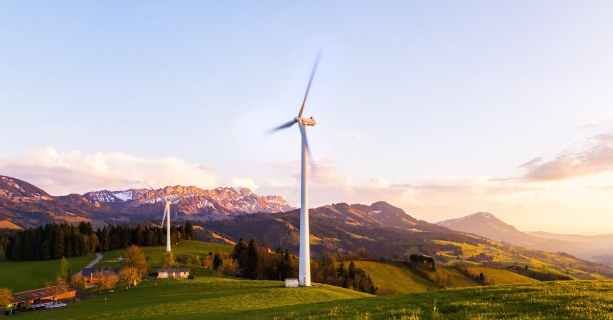 découvrez l'importance de la durabilité et comment elle transforme notre mode de vie. explorez des solutions écologiques et des pratiques respectueuses de l'environnement pour un avenir plus vert.